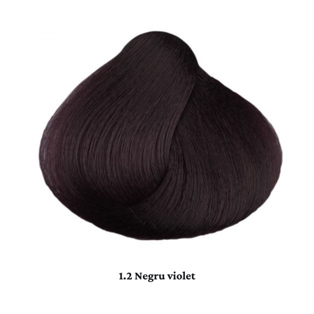 Vopsea de par permanenta profesionala - nuanta  1.2 negru violet  ( Aramiu&Rosu&Violet)  60ml   mix 1+2 [1]