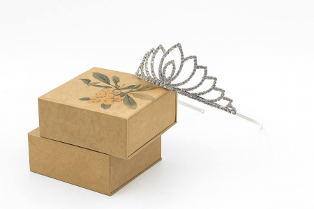 Cercuri pentru păr (bentițe) - Diademă argintie tip coroniță