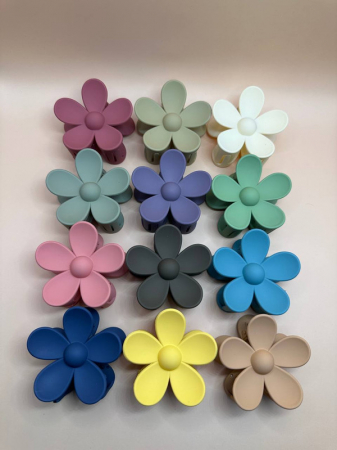 Clama Crab - Clame tip crab