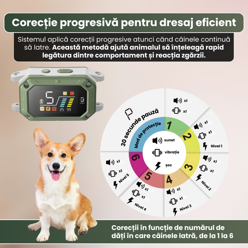 Zgardă antilătrat pentru câini FAMIFY, inteligentă, cu sunet, vibrație și impuls, IPX7, gri [5]