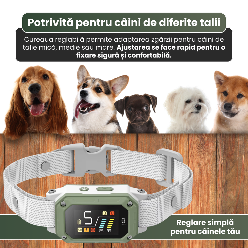 Zgardă antilătrat pentru câini FAMIFY, inteligentă, cu sunet, vibrație și impuls, IPX7, gri [11]