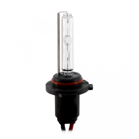 Bec Xenon H10-4300K - CARGUARD [1]