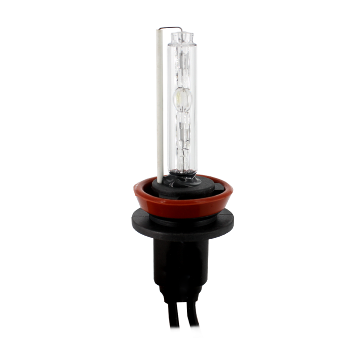 Bec Xenon H8-6000K - CARGUARD [1]