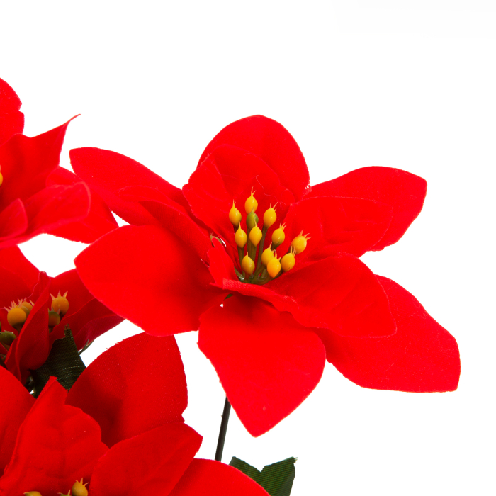 Decor de sărbători - Poinsettia roșie [2]