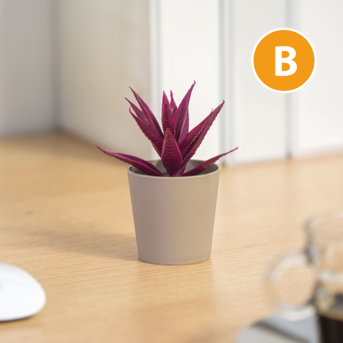 Decor plante artificiale - în ghiveci - 6 x 9 cm - 6 tipuri [5]