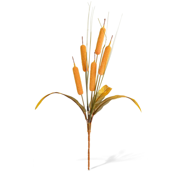 Decorațiune de toamnă – papură decorativă – 40 cm – 2 modele [4]