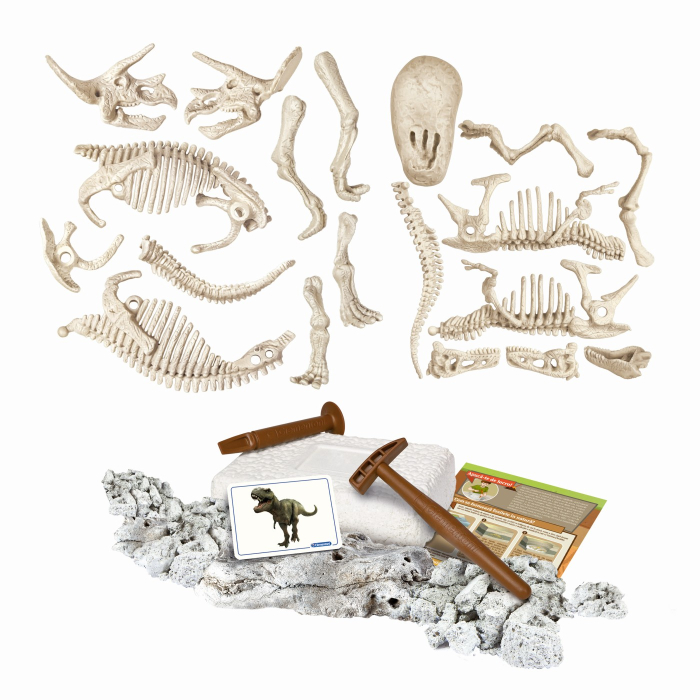 DESCOPERA DINOZAURUL T-REX & TRICERAPTOR FLUO STIINTA SI JOACA [2]