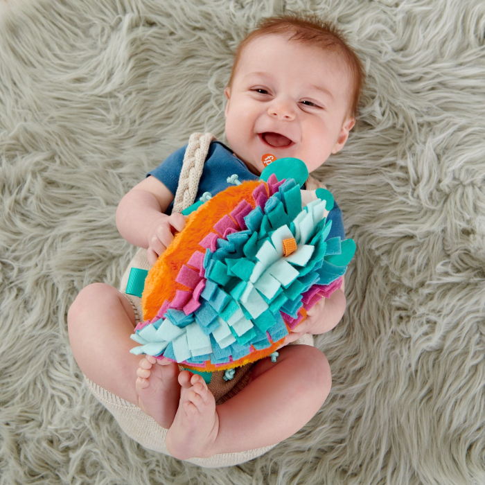 FISHER PRICE ARICIUL CU ACTIVITATI SENZORIALE [4]