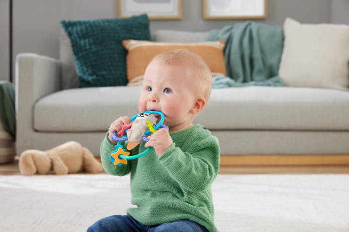 FISHER PRICE JUCARIE DENTITIE VIDRA [6]