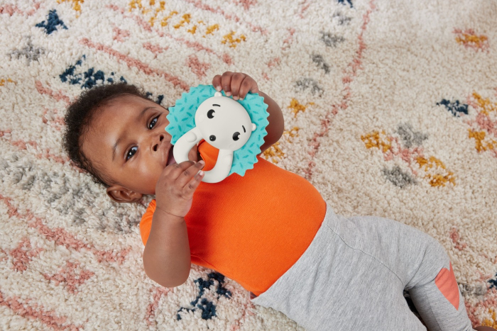 FISHER PRICE JUCARIE ZORNAITOARE ARICI [3]