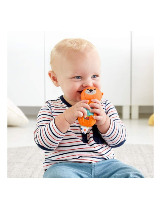 FISHER PRICE JUCARII ZORNAITOARE VIDRA [3]