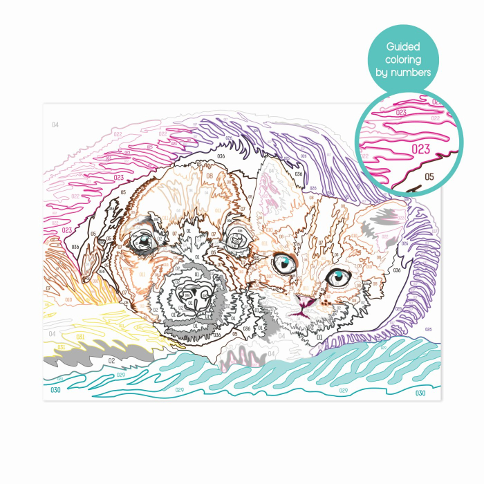 HAPPI HOBBI PICTEAZA INRAMEAZA DULCE PRIETENIE [7]