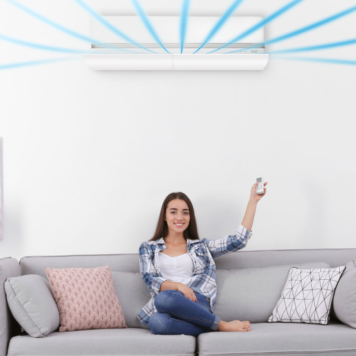 Placă deflectoare pentru aer condiționat - 57-105 cm [3]