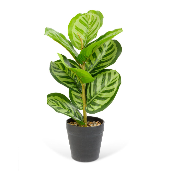 Plantă artificială decorativă - Frunză de zebră verde - 34 x 9 cm [1]