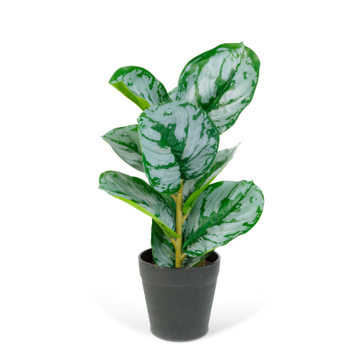 Plantă artificială decorativă - Frunză de zebră verde/alb - 34 x 9 cm [1]