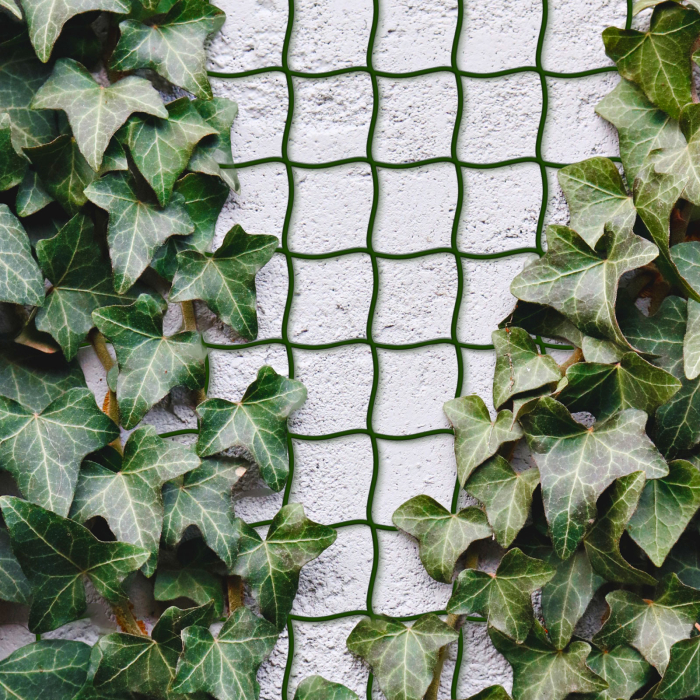 Plasă de cățărare a plantelor - 5m x 50 cm - poate fi taiată - plastic - verde închis [1]