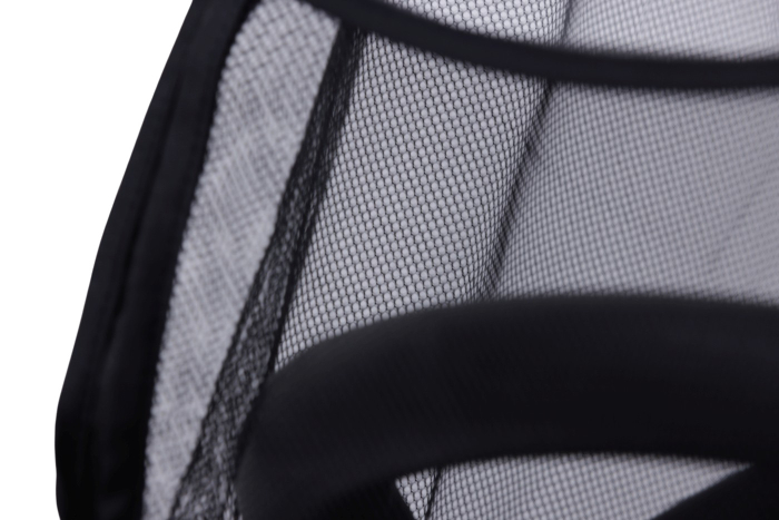 PLASA INSECTE CARUCIOR HAMILTON [2]
