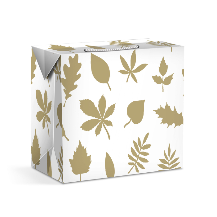 Pungă cadou - hartie - 225 x 135 x 200 mm - 2 tipuri / pachet [3]