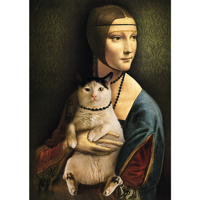 PUZZLE 1000 DOAMNA CU PISICA [2]