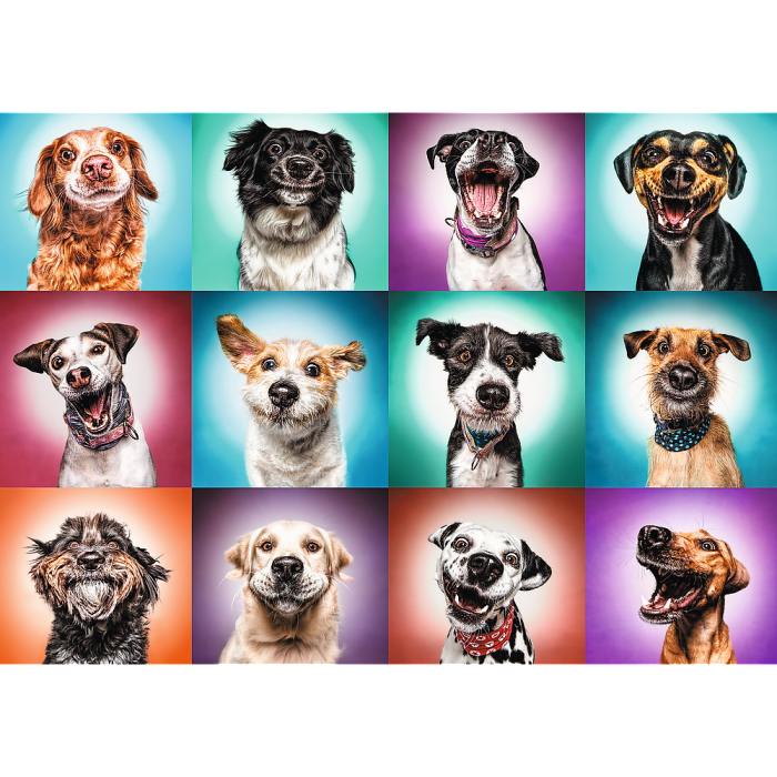 PUZZLE TREFL 2000 CATELUSII AMUZANTI [2]