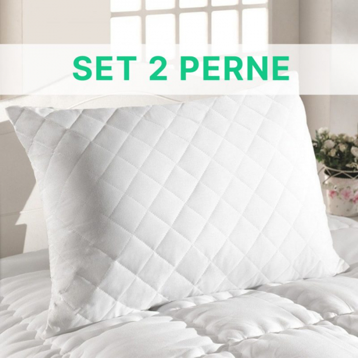 Set 2 perne hypo - 50 x 70 [1]