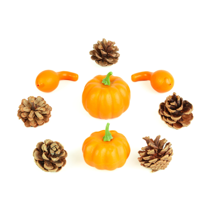 Set decorațiuni de toamnă – dovleci și conuri de pin, 9 piese, 5–7 cm [2]