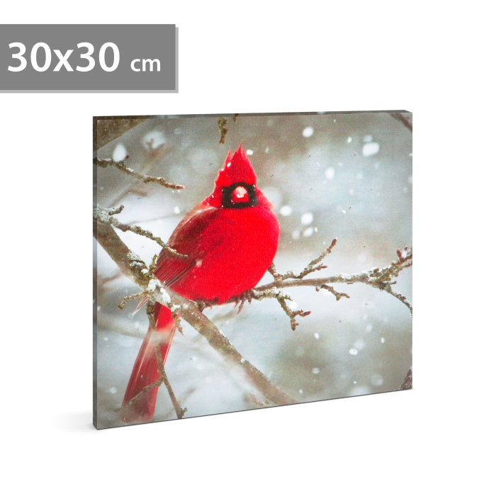 Tablou cu LED - cinteză roșie - 2 baterii AA - 30 x 30 cm (58478) [1]