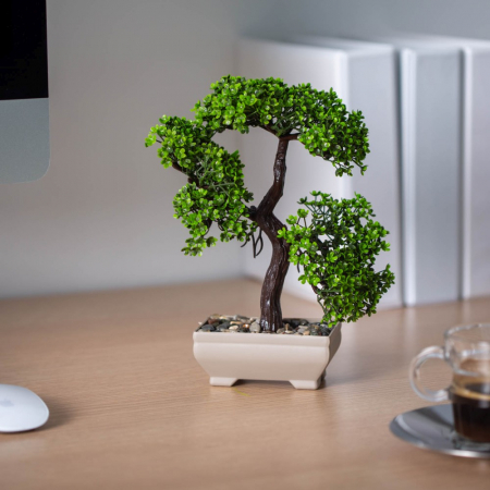Decorațiuni, idei de cadouri - Decor plante artificiale - bonsai - 10 x 22 cm
