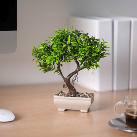 Decorațiuni, idei de cadouri - Decor plante artificiale - bonsai - 18 x 24 cm