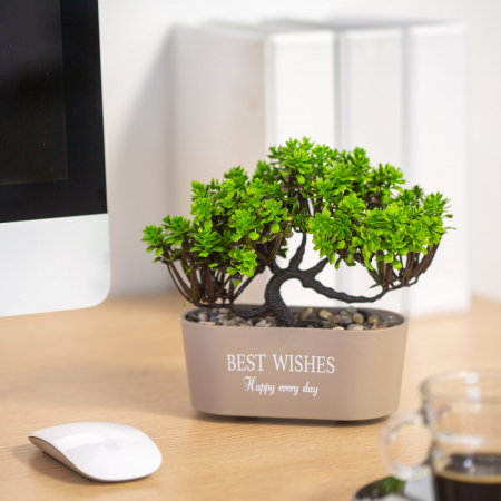Decorațiuni, idei de cadouri - Decor plante artificiale - bonsai - 19 x 13 cm - 4 tipuri