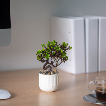 Decor plante artificiale - bonsai, ghiveci de flori - 12 x 17 cm - 4 tipuri [3]