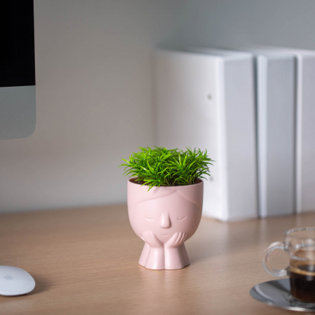 Decorațiuni, idei de cadouri - Decor plante artificiale - cap de om - 9 x 14 cm - 4 tipuri
