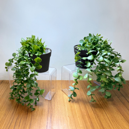 Decorațiuni, idei de cadouri - Decor plante artificiale - în ghiveci - 16 x 26 cm