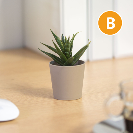 Decor plante artificiale - în ghiveci - 6 x 9 cm - 6 tipuri [6]