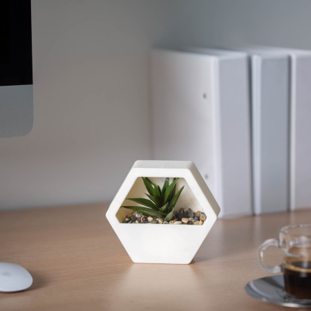 Decorațiuni, idei de cadouri - Decor plante artificiale - perete - 13 x 12 cm - 4 tipuri
