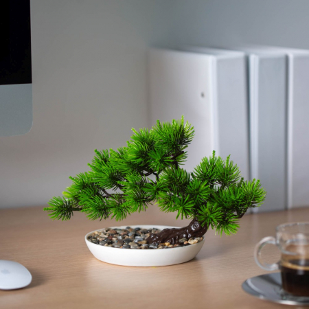 Decorațiuni, idei de cadouri - Decor plante artificiale - pin negru japonez - 25 x 18 cm