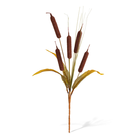 Decorațiune de toamnă – papură decorativă – 40 cm – 2 modele [2]