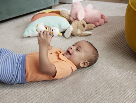 FISHER PRICE JUCARIE ZORNAITOARE GASCA [2]