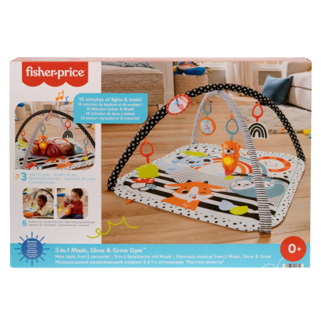 Jucării pentru bebeluși - FISHER PRICE SALTEA MUZICALA 3 IN 1 CU CENTRU DE ACTIVITATI