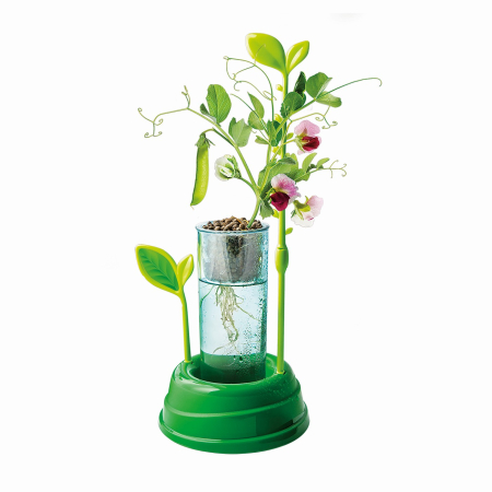 GRADINA MEA STIINTA JOACA [3]