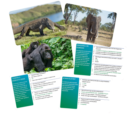 JOC INTERACTIV LUMEA ANIMALELOR IN LIMBA ROMANA [2]