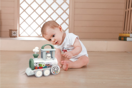 LOCOMOTIVA CU MECANISM STEAM [2]