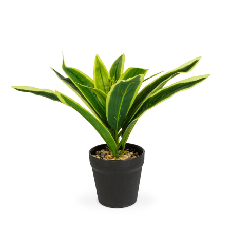 Decorațiuni, idei de cadouri - Plantă artificială decorativă - Copac de șofran cu dungi - 20 x 8,5 cm