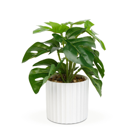 Decorațiuni, idei de cadouri - Plantă artificială decorativă - Filodendron verde - 20 x 8 cm