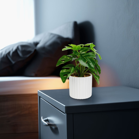 Plantă artificială decorativă - Filodendron verde - 20 x 8 cm [1]