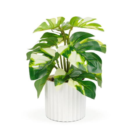 Decorațiuni, idei de cadouri - Plantă artificială decorativă - Filodendron verde/galben - 20 x 8 cm
