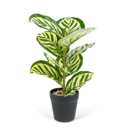 Decorațiuni, idei de cadouri - Plantă artificială decorativă - Frunză de zebră verde - 34 x 9 cm