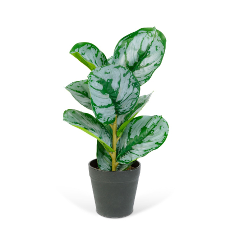 Decorațiuni, idei de cadouri - Plantă artificială decorativă - Frunză de zebră verde/alb - 34 x 9 cm