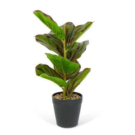 Decorațiuni, idei de cadouri - Plantă artificială decorativă - Frunză de zebră verde/negru - 34 x 9 cm