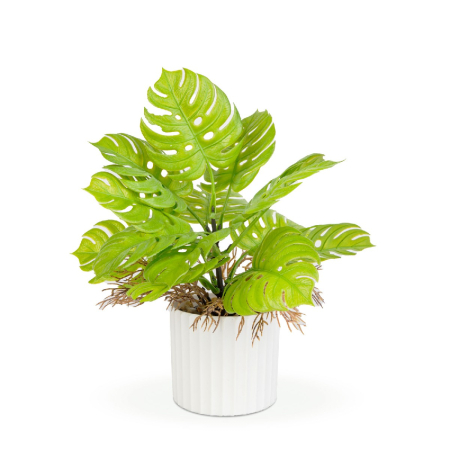 Articole pentru casă - Plantă artificială decorativă - Monstera - 22 x 8,5 cm